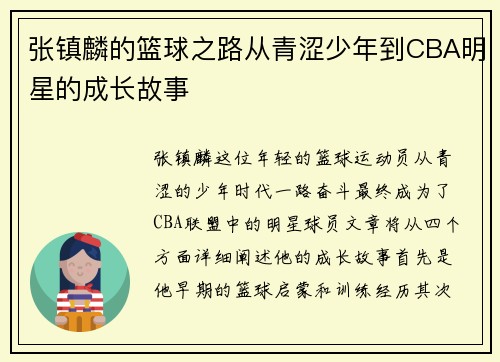 张镇麟的篮球之路从青涩少年到CBA明星的成长故事